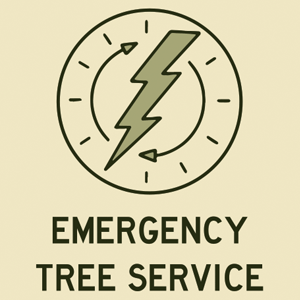 Emergency Tree Removal Toronto