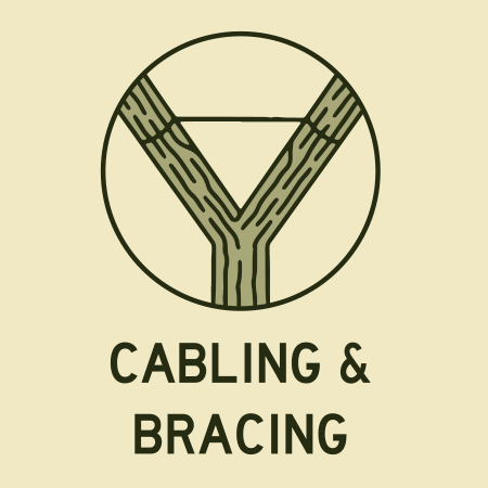 Cabling Trees