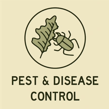 Pest & disease Control Toronto