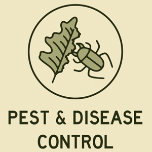 Pest disease control