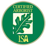 ISA certified arborist Toronto